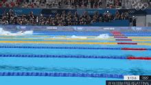 Swimming Olympics GIF - Swimming Olympics 2020Olympics - Discover & Share GIFs