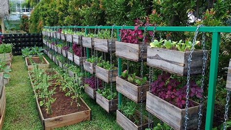 Simple Vegetable Gardens