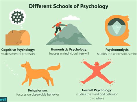 best schools for cognitive psychology – CollegeLearners.com