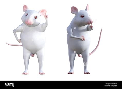 White pet mouse isolated on white, 3d render Stock Photo - Alamy