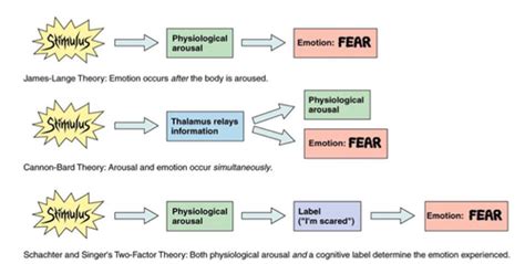 theories of emotion | Emotions, Bard, Theories