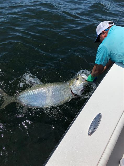 Tarpon Fishing