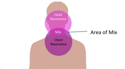 Diagram of Chest, Head, and Mix - Ramsey Voice Studio