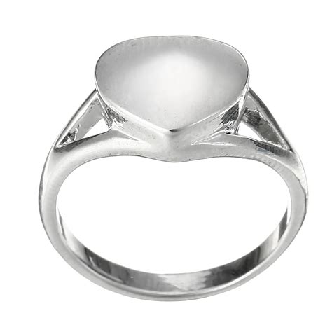 Vintage Heart Pet Memorial Ring Shellhard Stainless Steel Cremation Ash ...