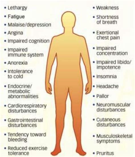 Symptoms of anemia | Nurses Notes/Tools | Pinterest | Medical ...