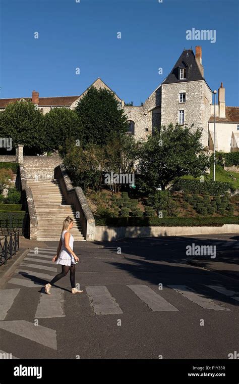 France, Loiret, Montargis, castle Stock Photo - Alamy