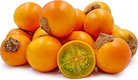 Naranjilla - Lulo Seeds (Solanum quitoense) | Berries recipes, Currant recipes, Fruit