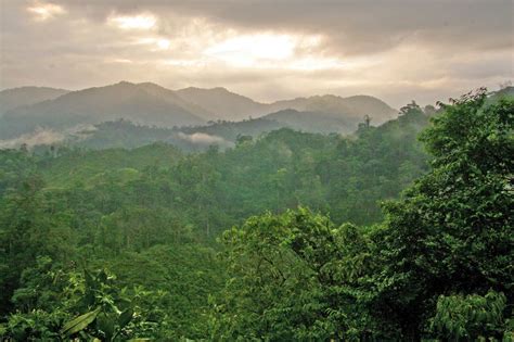 Boosting Climate Resilience and Rural Incomes in Honduras | Rainforest Alliance