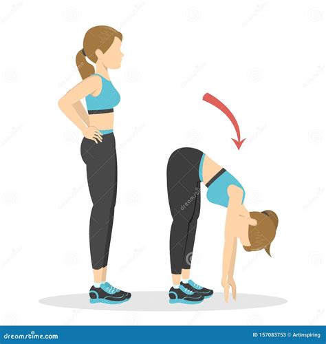 Bend Forward Exercise. Woman Doing Fitness in the Gym Stock Vector ...