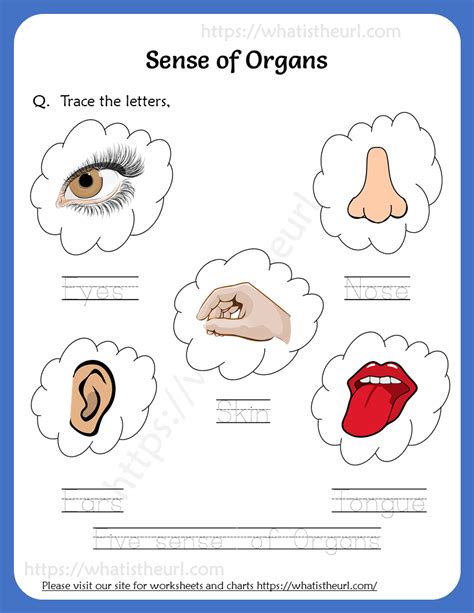 Trace the letters – Sense of Organs Worksheet Shape Worksheets For Preschool, Nursery Worksheets ...