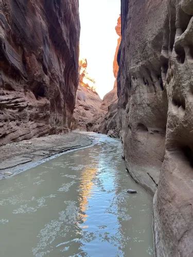 Best Backpacking Trails in Grand Staircase - Escalante National ...