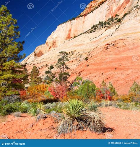 Zion National Park Geology Royalty Free Stock Photos - Image: 25354608