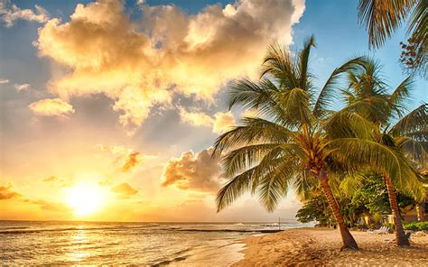 HD wallpaper: View Of North Beach Kauai, Hawaii, coconut trees, pacific, sea view | Wallpaper Flare