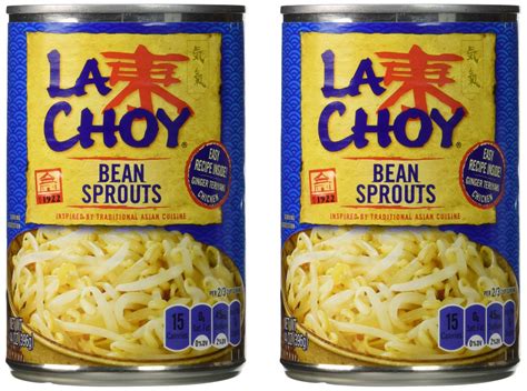 La Choy BEAN SPROUTS Asian Cuisine 14oz (2 pack)- Buy Online in United ...