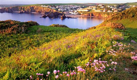 Hope Cove Beach - Visit South Devon