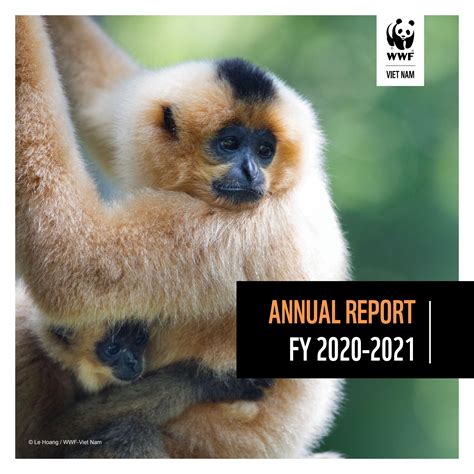 WWF-Viet Nam Annual Report FY 21 by WWF-Viet Nam - Issuu