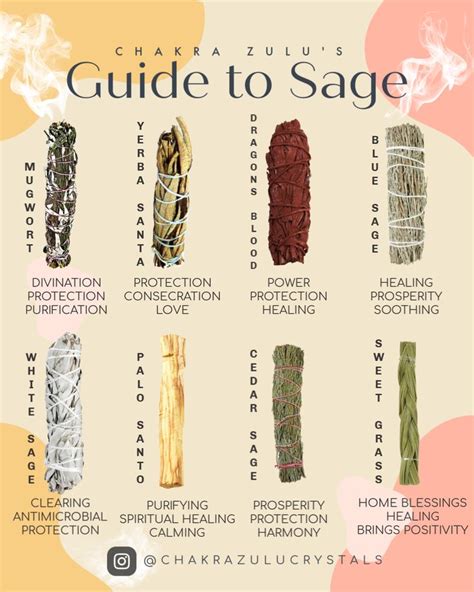 Sage Guide | Herbal magic, Witch herbs, Witchcraft