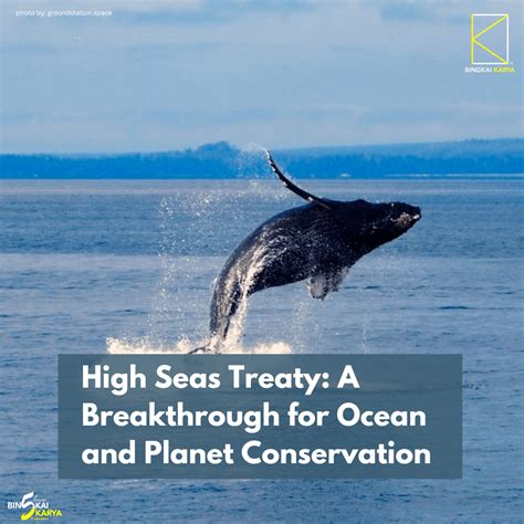 High Seas Treaty: A Breakthrough for Ocean and Planet Conservation