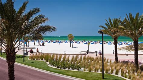 Clearwater Beach Hotel Deals and Packages | Hyatt Regency Clearwater