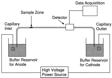 Difference Between Capillary Electrophoresis and Gel Electrophoresis ...