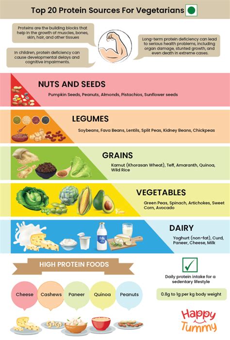 Top 20 Protein Sources For Vegetarians - Happytummy