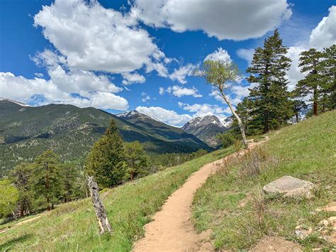 Deer Mountain Morning - McGregor Mountain Lodge - Estes Park, CO