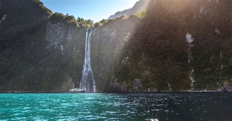 Nature and wildlife in New Zealand | 100% Pure New Zealand