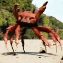 Crab Dance Discord Emojis - Crab Dance Emojis For Discord