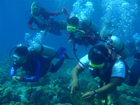 Visiting and Diving or snorkeling in Cebu: Dive For Earth Day!