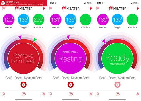 MEATER+ wireless meat thermometer review - The Gadgeteer