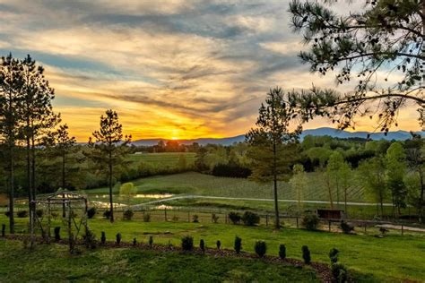 Top North Carolina Wineries To Visit in the Tryon Foothills • Winetraveler