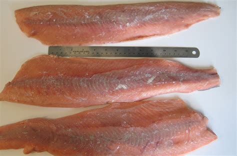 Alaskan Chum Salmon Fillet Skin-less - PRODUCTS - Sea One Seafoods