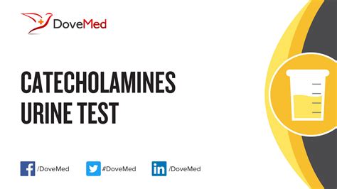 Catecholamines Urine Test