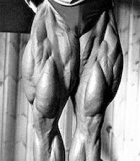 Tom Platz Workout: Full-Body Ultimate Guide - The Barbell