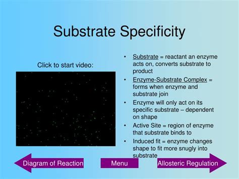 PPT - Chemistry, Biomolecules, and Enzymes PowerPoint Presentation - ID ...