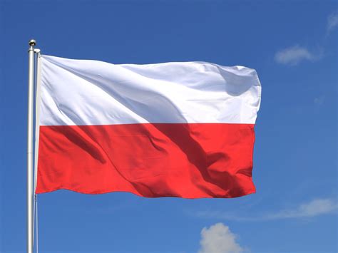 Poland Flag for Sale - Buy online at Royal-Flags