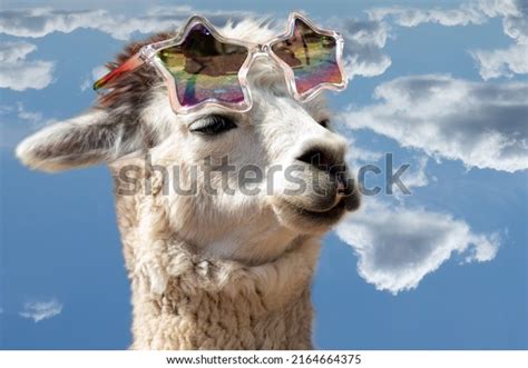 723 Llama Sunglasses Images, Stock Photos, 3D objects, & Vectors ...