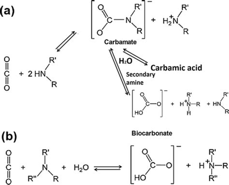 Polyethylenimine Applications in Carbon Dioxide Capture and Separation: From Theoretical Study ...