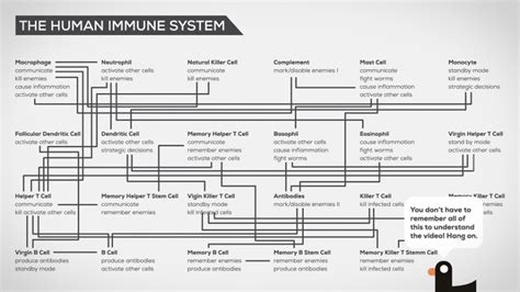 Kurzgesagt The Immune System Explained | Immune system, System ...