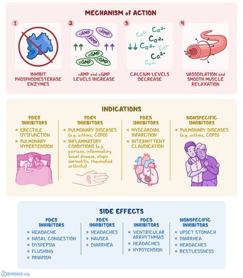 Phosphodiesterase Inhibitors: What Are They, How Do They Work, What Are They Used For, and More ...