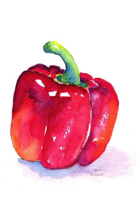 Fresh Red Bell Pepper Painting by Carlin Blahnik CarlinArtWatercolor ...