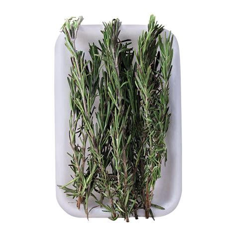 Buy Fresh Basket Rosemary Leaves, Imported Online at Special Price in ...