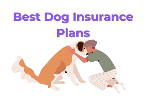 The Best Dog Insurance Plans of 2024