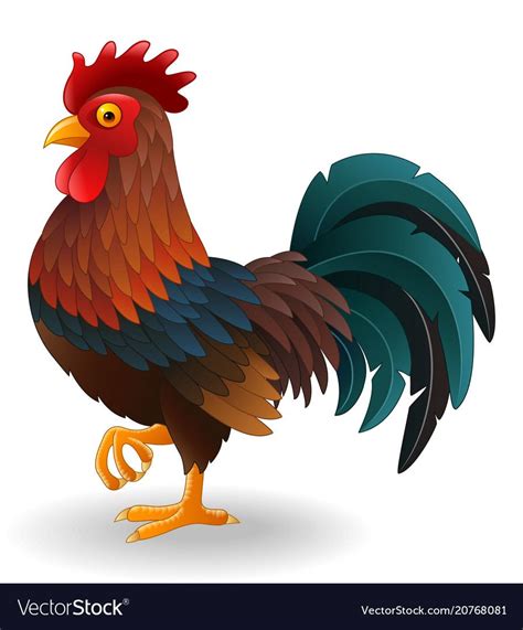 Vector illustration of Cute rooster cartoon. Download a Free Preview or ...