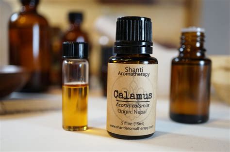 Calamus Essential Oil Pure Essential Oil