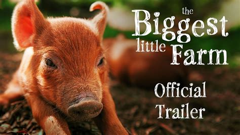 Review: 'Biggest Little Farm' grows inspiring story