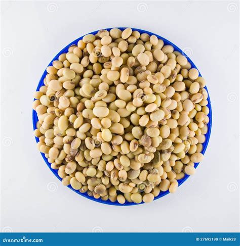 Field bean stock photo. Image of food, season, beans - 27692190