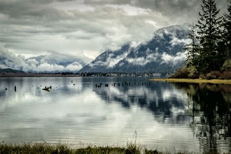 Lake Quinault Archives | Andrew Bergh Travel Photography