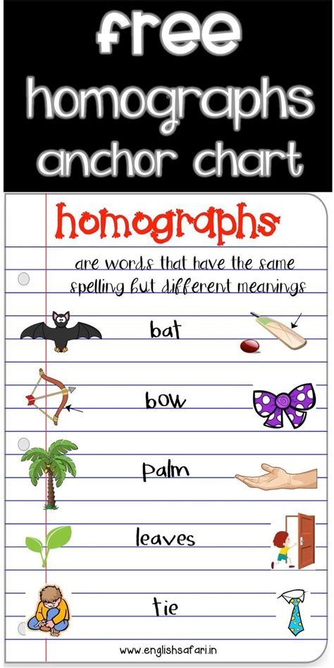 Homographs List For Kids