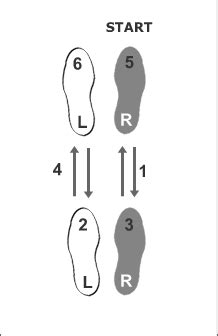 Learn Basic Samba Steps